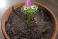 Image edit by Aubz of what Planos looks like.
