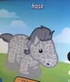 Citrine's Webkinz, Hose.