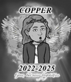 Memorial to Copper's bitmoji.