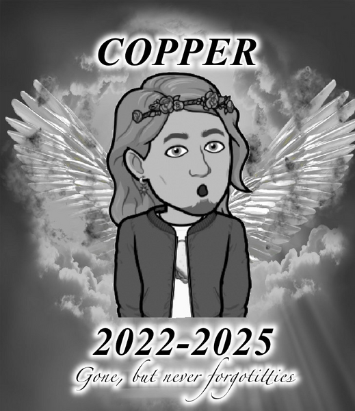 File:Copper bitmoji.png